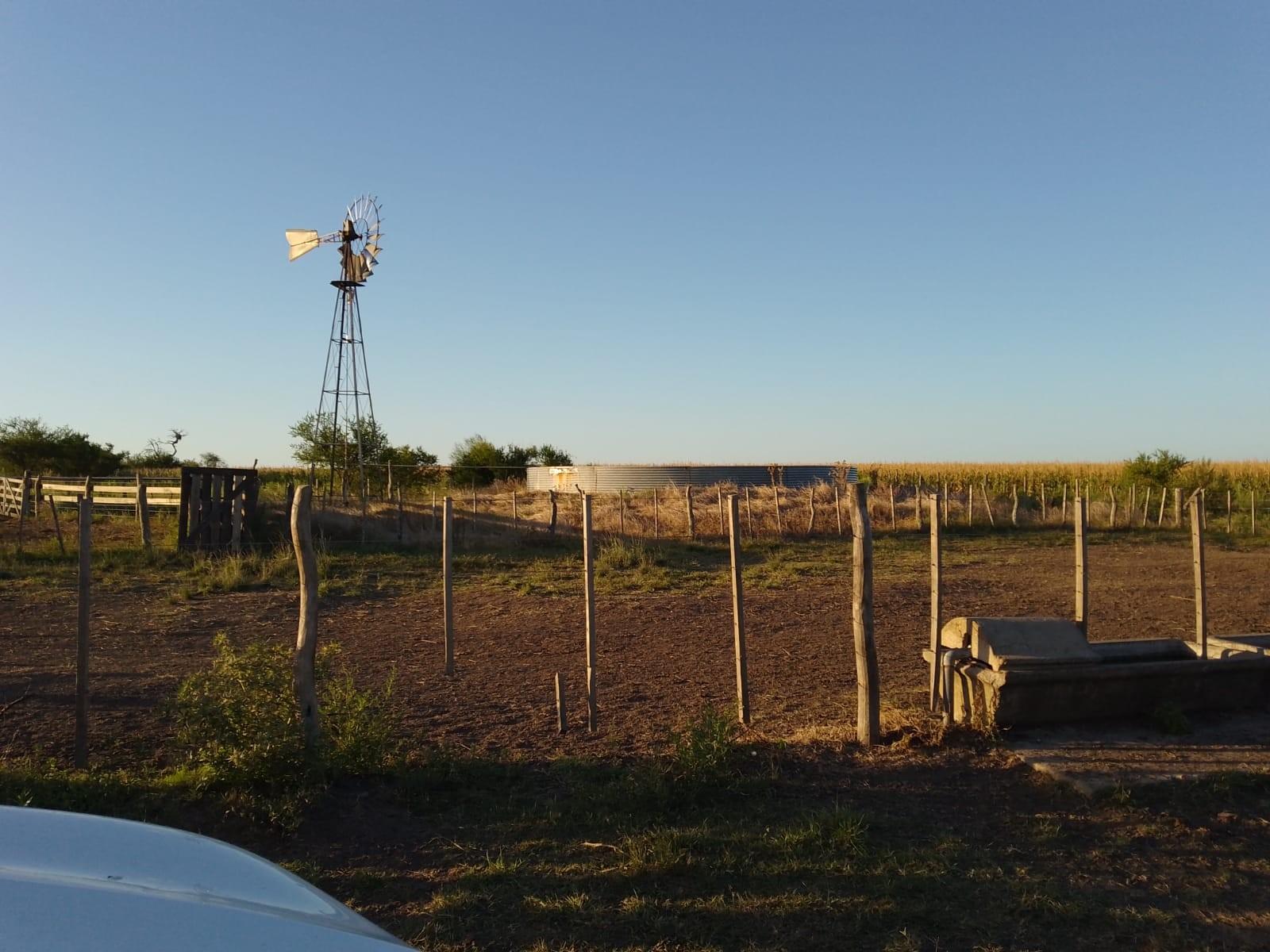 CAMPO MIXTO FEDERAL E.R. 1.450 HA CON 340 HA AGRÍCOLAS U$S2.800/HA - 2