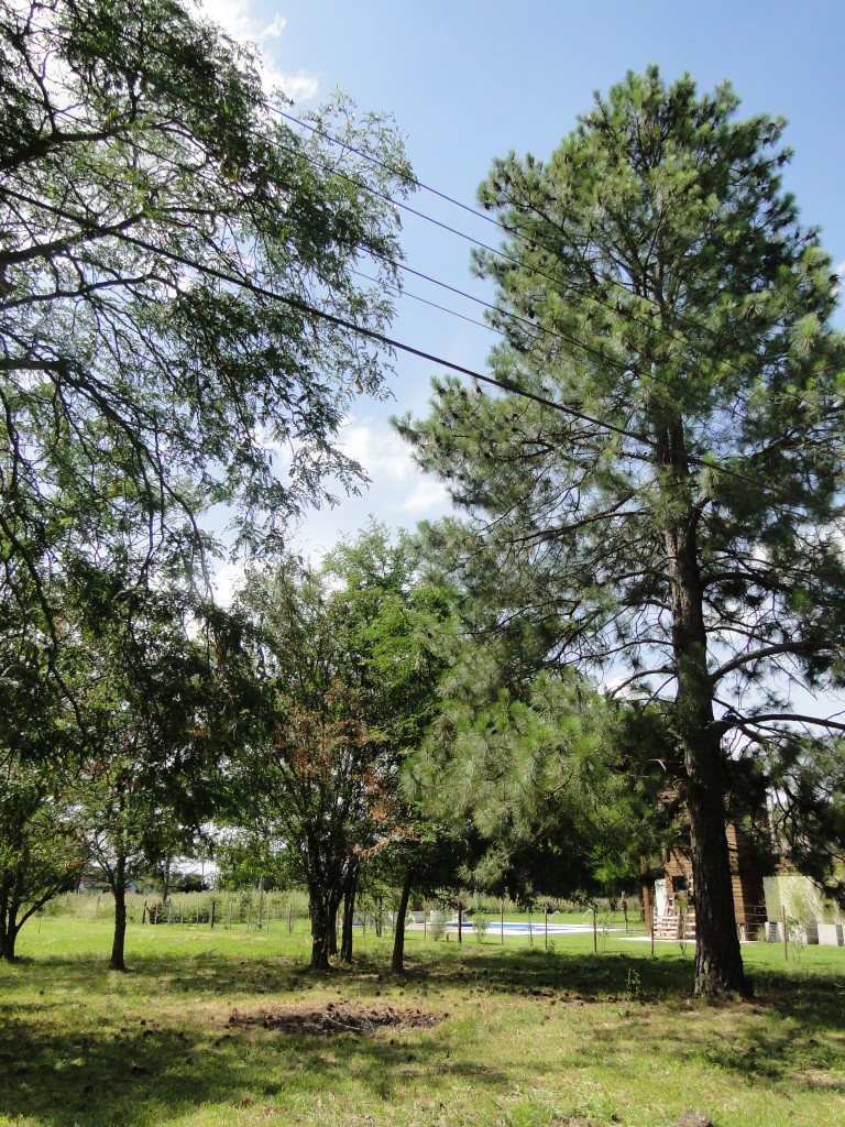 EXCELENTE TERRENO EN CLUB DE CAMPO EL MORO — foto 3