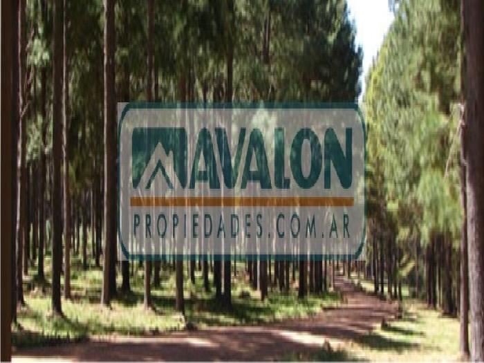 Terreno en Venta en Rosario, Rosario, Santa Fé — foto 5