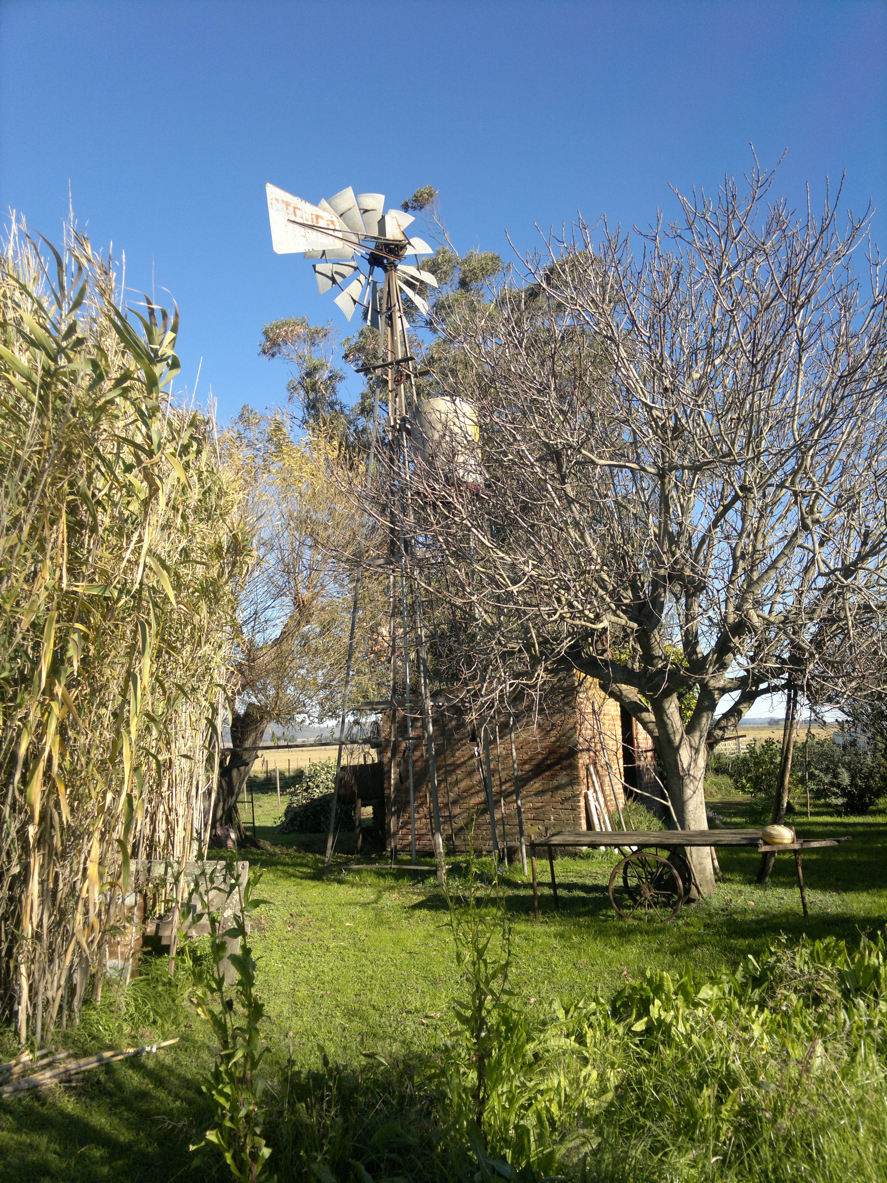 49 HAS EN JUAN VICENTY - 14