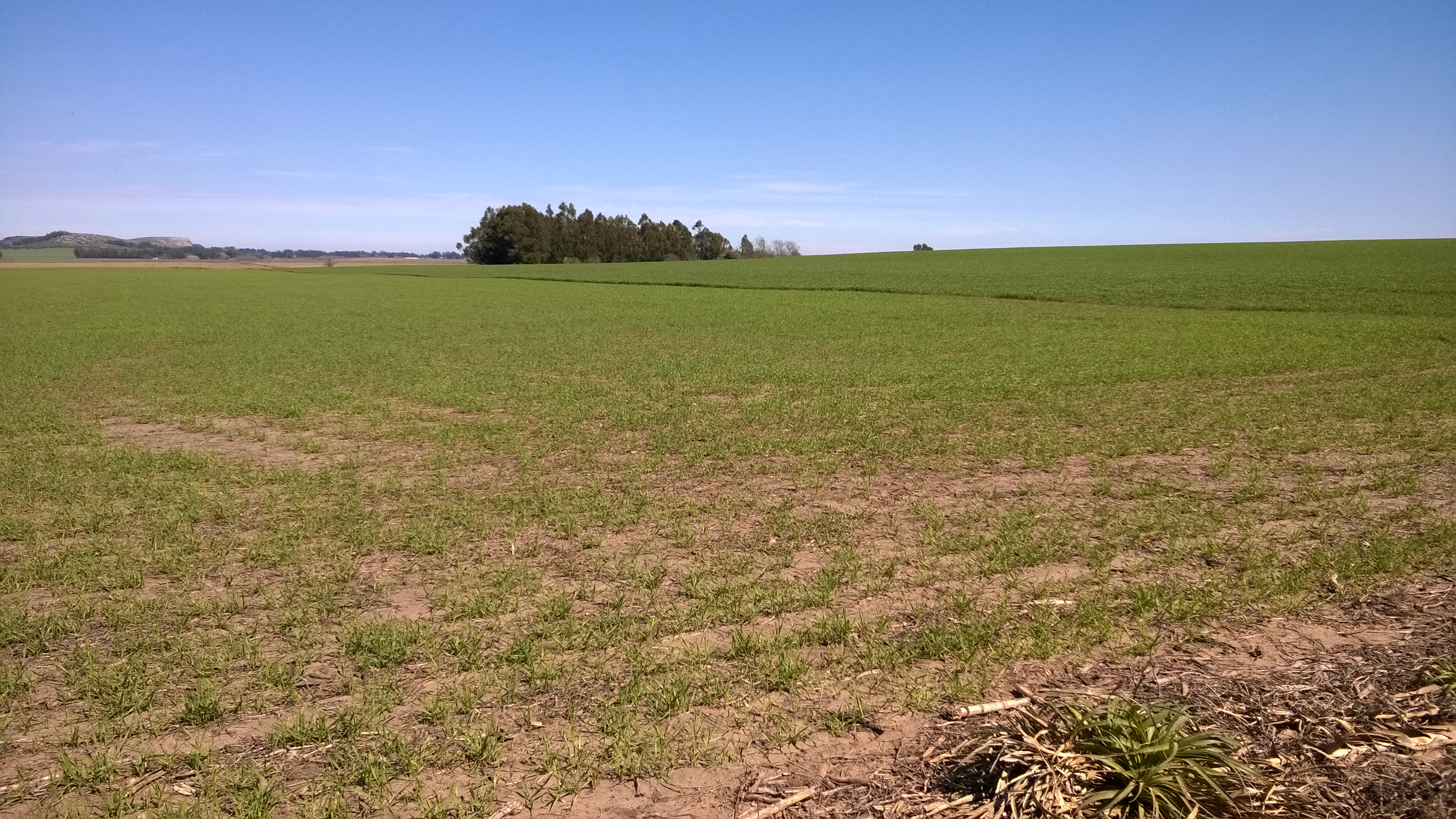 24 HAS ZONA SIERRA LA BARROSA - 1