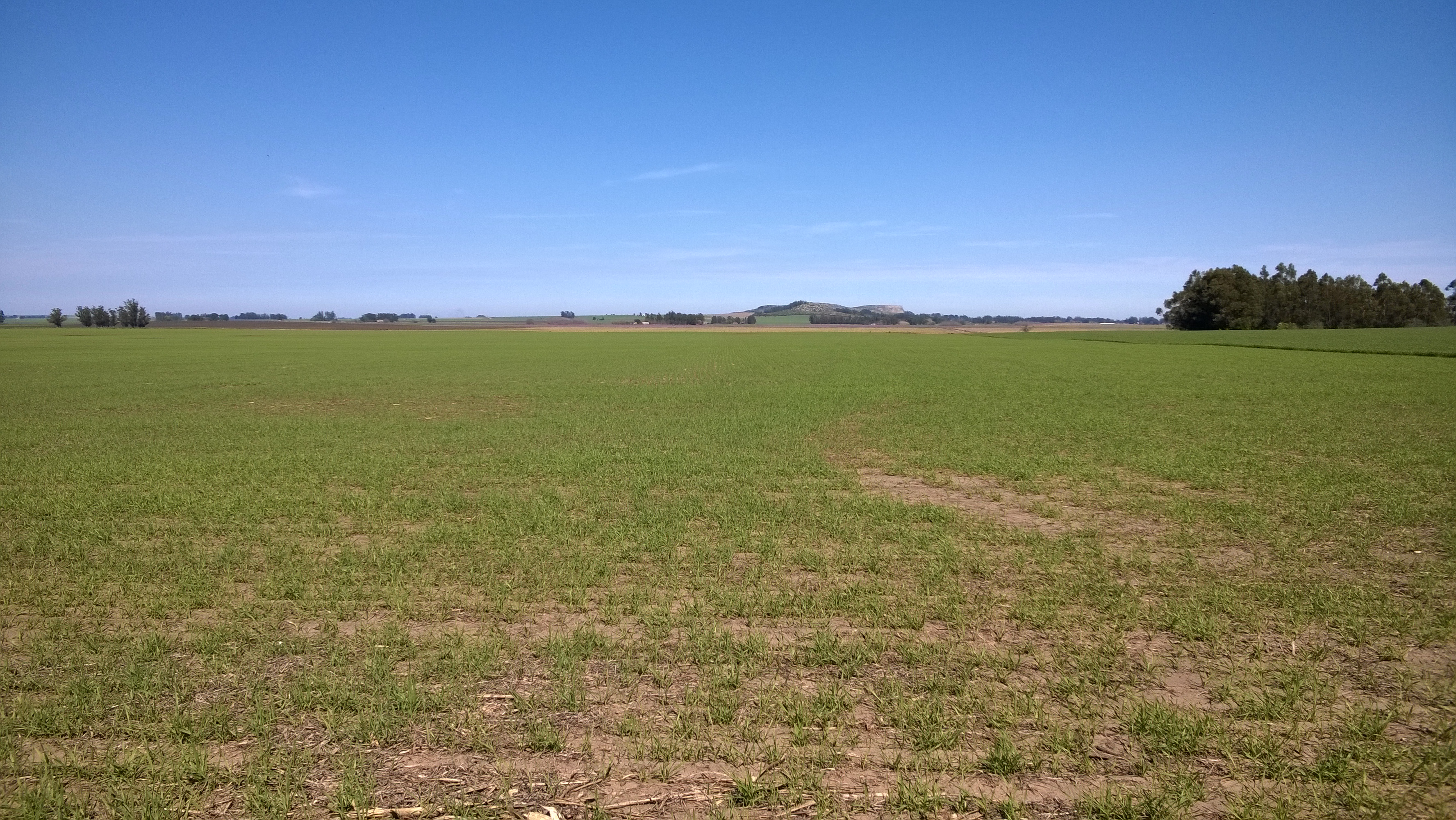 24 HAS ZONA SIERRA LA BARROSA - 3