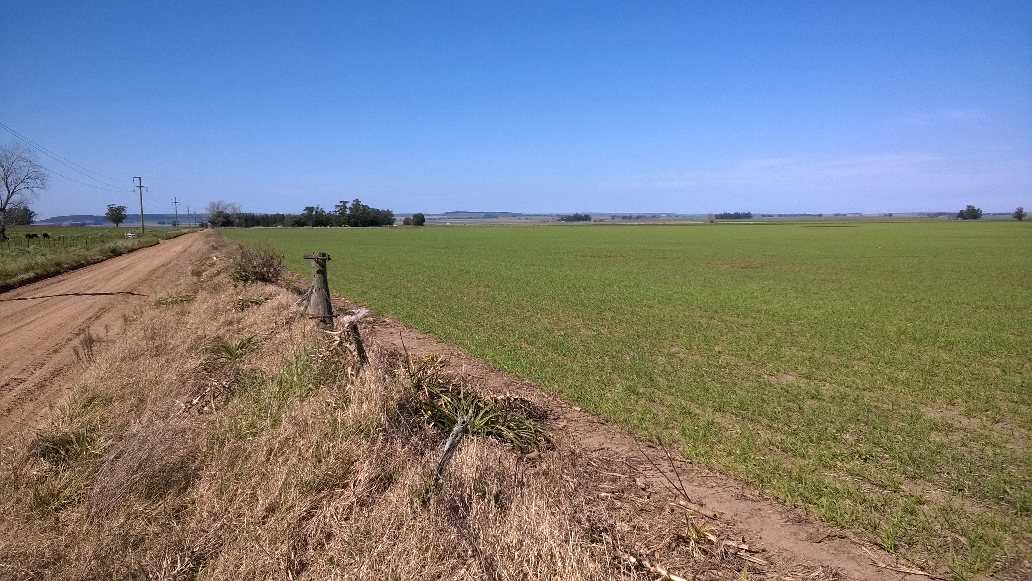 24 HAS ZONA SIERRA LA BARROSA - 5