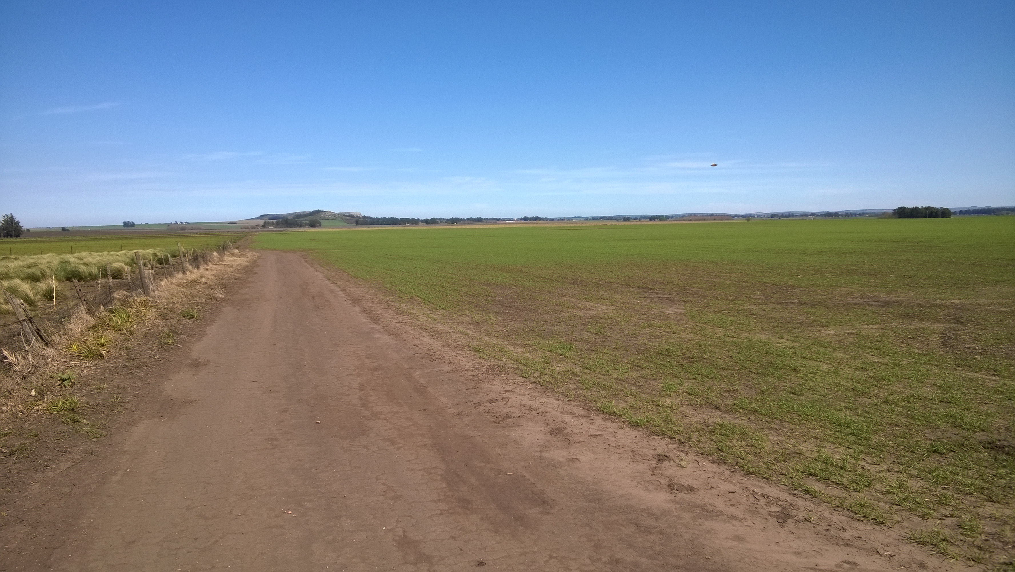 24 HAS ZONA SIERRA LA BARROSA - 8