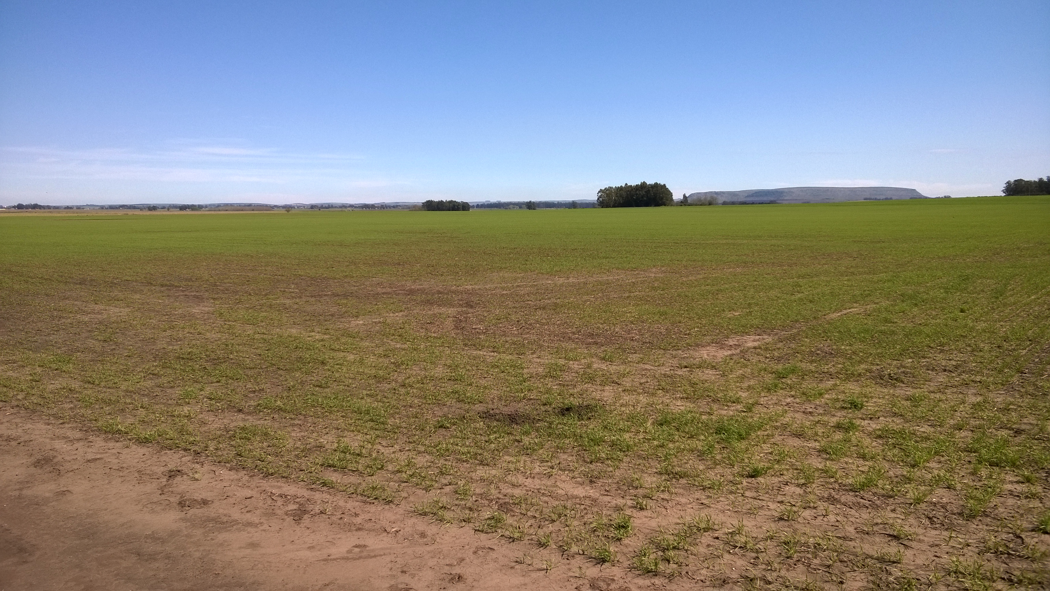24 HAS ZONA SIERRA LA BARROSA - 10
