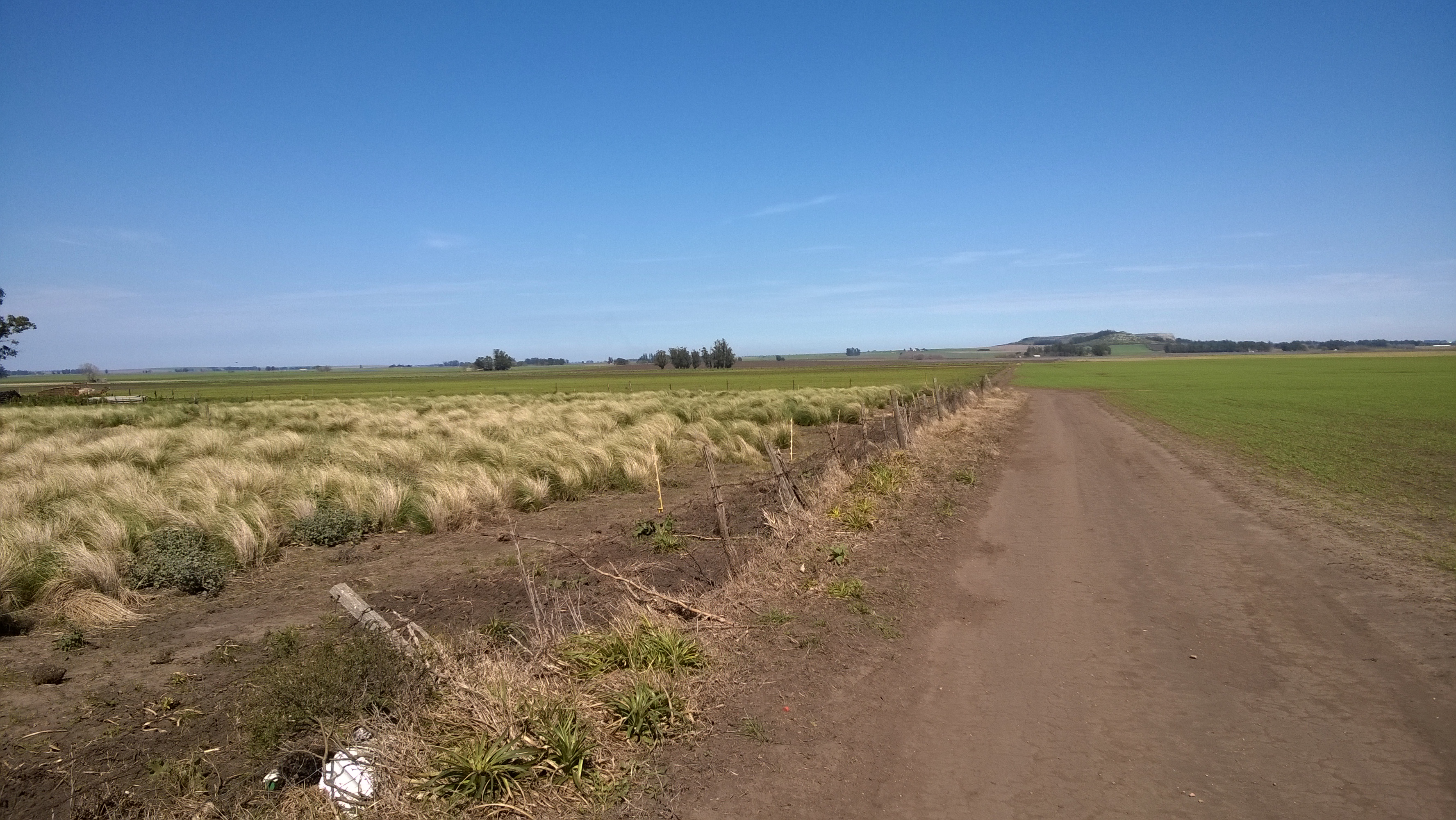 24 HAS ZONA SIERRA LA BARROSA - 11