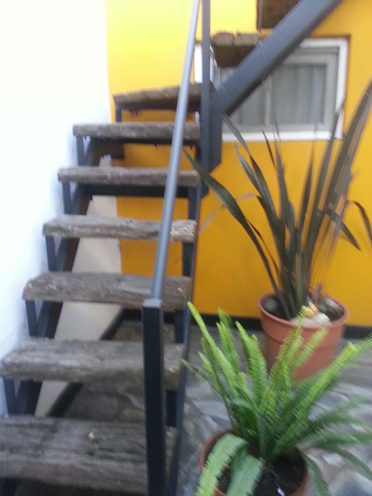 EXCELENTE DEPARTAMENTO EN PRIMER PISO CON COCHERA — foto 6