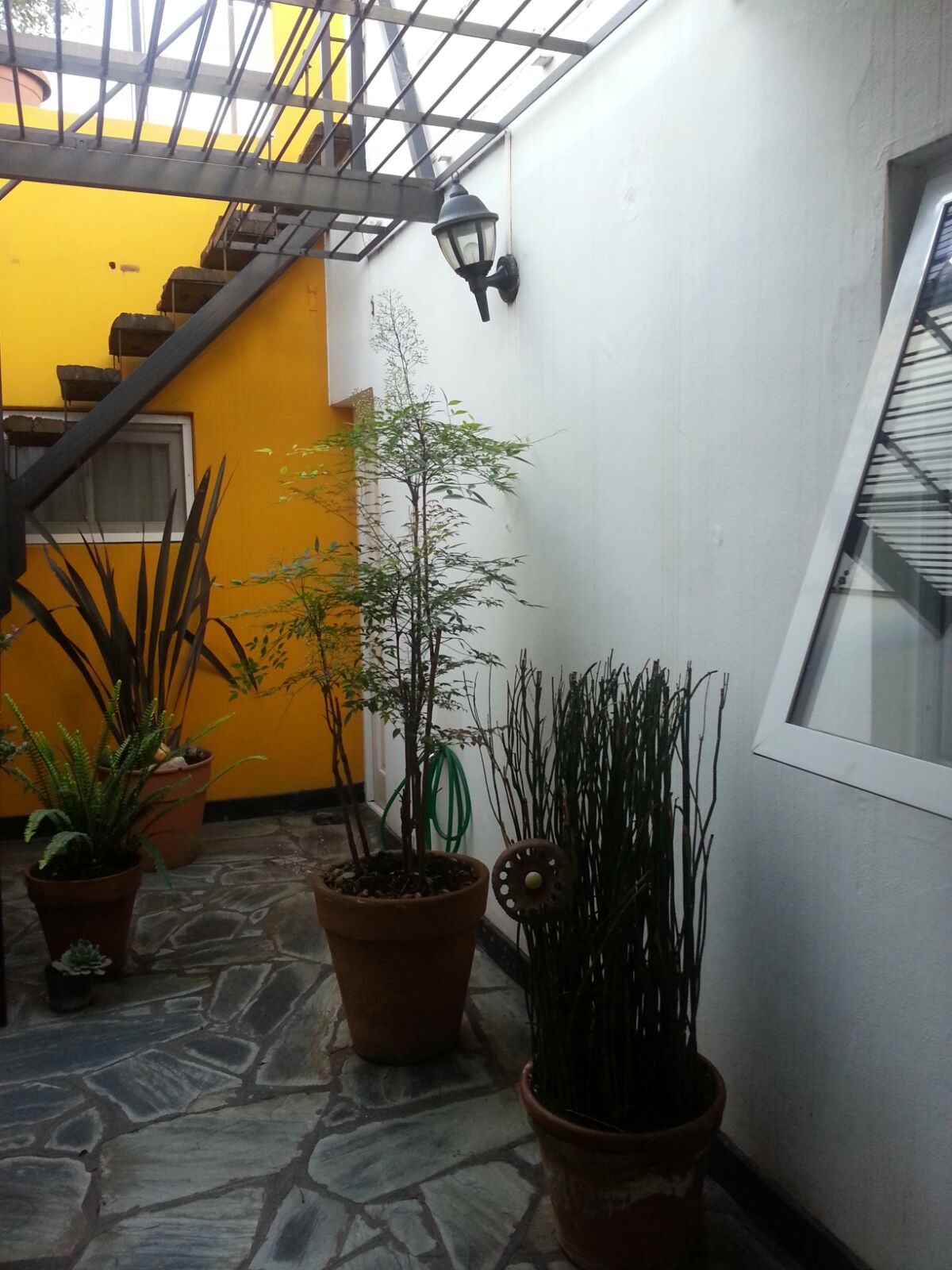 EXCELENTE DEPARTAMENTO EN PRIMER PISO CON COCHERA — foto 15