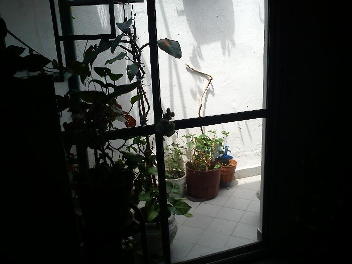 PH en Venta en Lomas del Mirador, La Matanza, Buenos Aires — foto 8