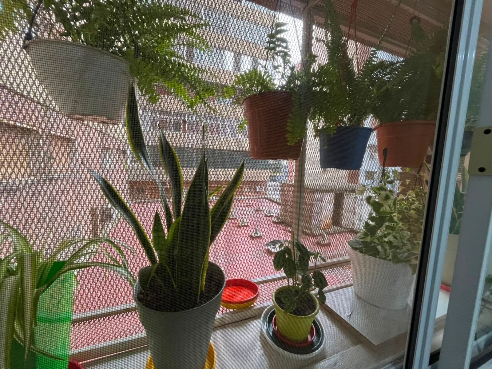 Departamento 3 ambientes en Villa Luro en Venta - 4