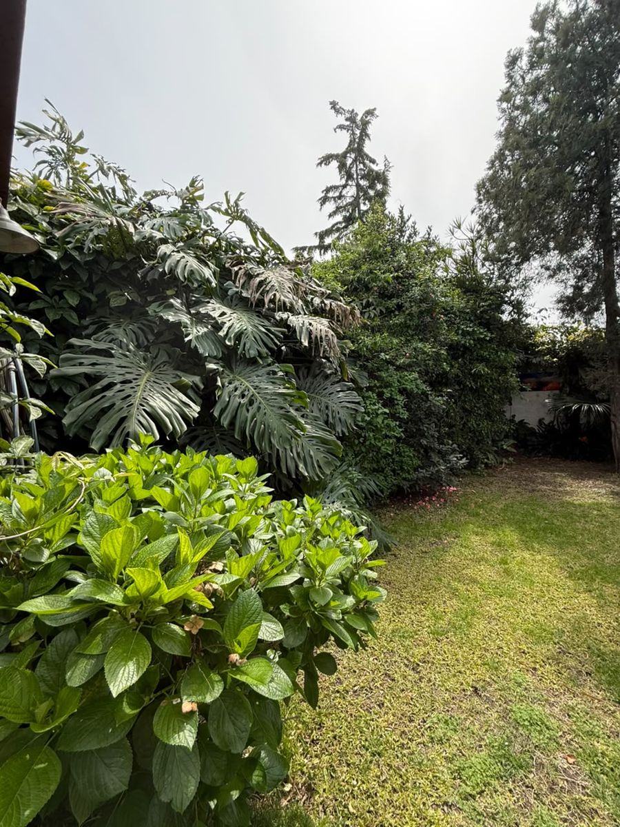 Venta De Vivienda Con Galpon 400m2, La Tablada - 20