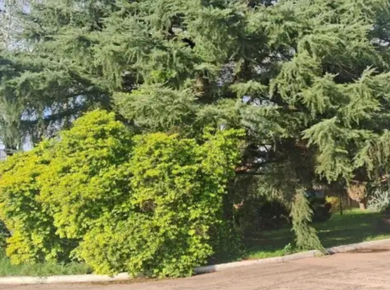 Planta Industrial En Venta 13.300m2, Virrey Del Pino - 20
