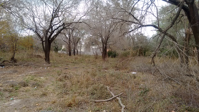 HERMOSO LOTE EN VILLA RIVERA INDARTE CON ESCRITURA INMEDIATA — foto 2
