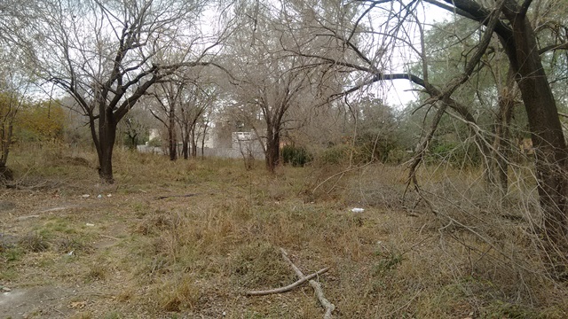 HERMOSO LOTE EN VILLA RIVERA INDARTE CON ESCRITURA INMEDIATA — foto 3