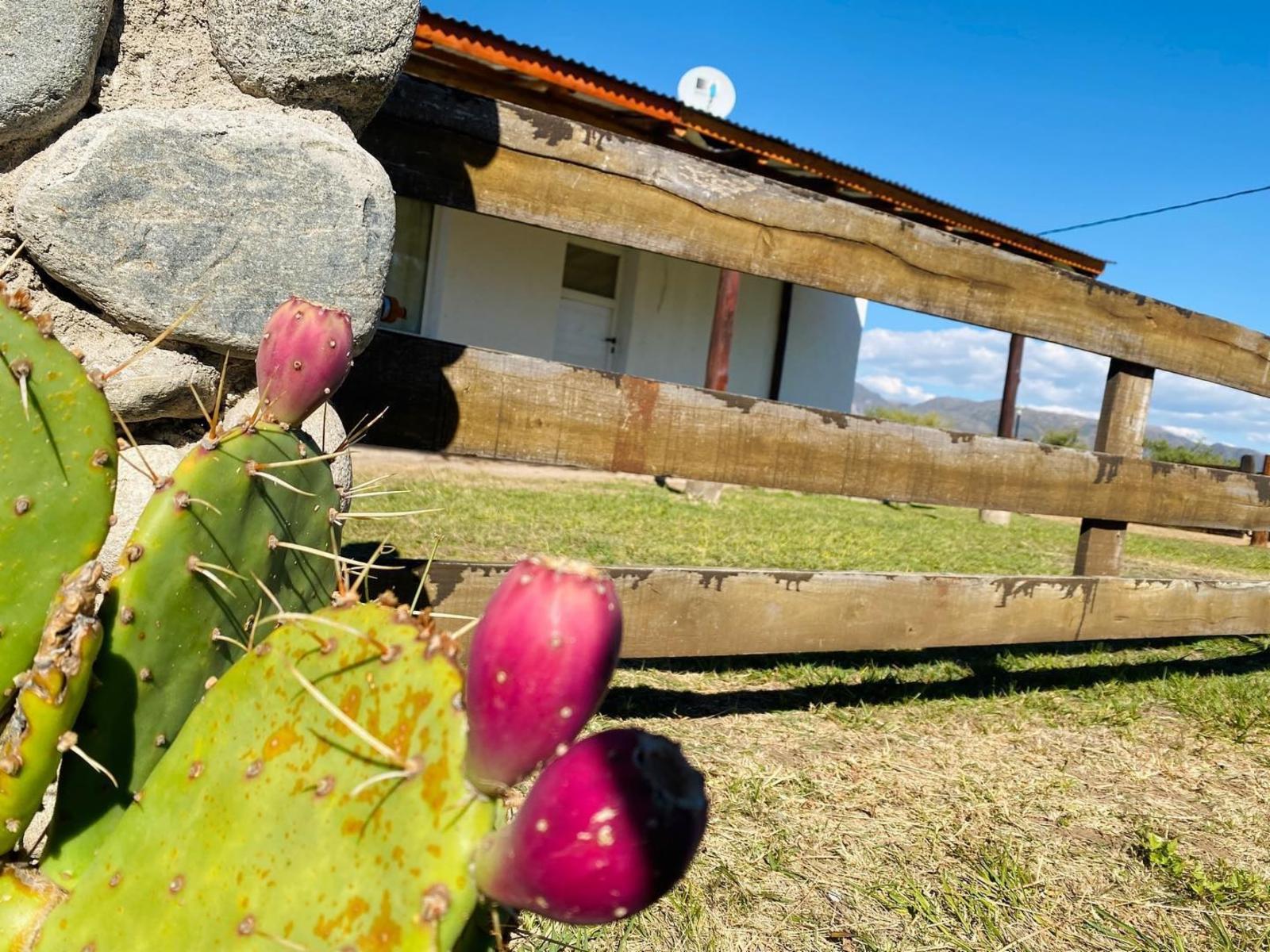 TU LUGAR EN LAS SIERRAS, LOTEO DE 1000 MTS2 MAS CASA LLAVE EN MANO. ULTIMOS DISPONIBLES, BARRIO CONSOLIDADO, VIVIENDA PERMANENTE O FINES TURISTICOS. ECO PUEBLO MONTE DE ORO. - 20
