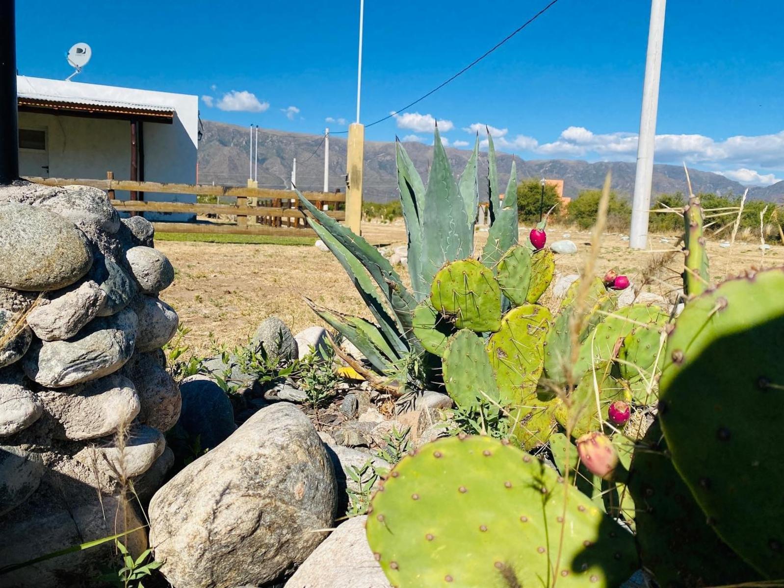 TU LUGAR EN LAS SIERRAS, LOTEO DE 1000 MTS2 MAS CASA LLAVE EN MANO. ULTIMOS DISPONIBLES, BARRIO CONSOLIDADO, VIVIENDA PERMANENTE O FINES TURISTICOS. ECO PUEBLO MONTE DE ORO. - 21