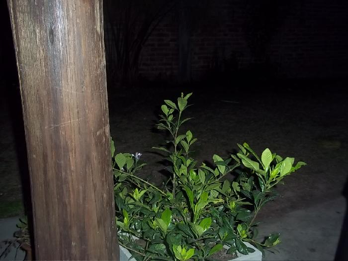 Casa en Venta en Paraná, Paraná, Entre Ríos — foto 13