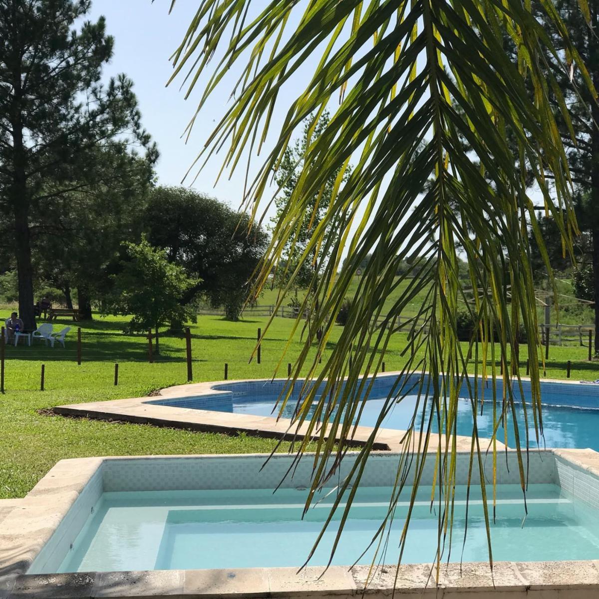 Complejo de cabañas con pileta en amplio parque de 4has con salón para eventos - Colón E. Ríos - 4