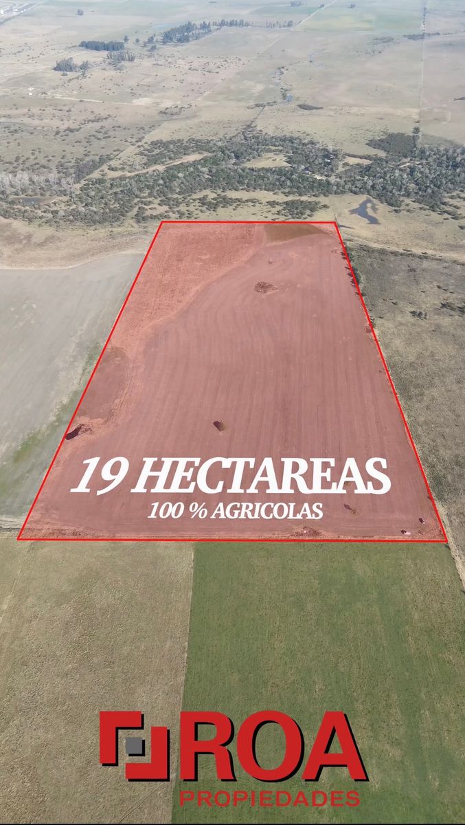 Campo de 19 hectareas 100 Agricolas - Concepcion del Uruguat - Entre Rios - 1