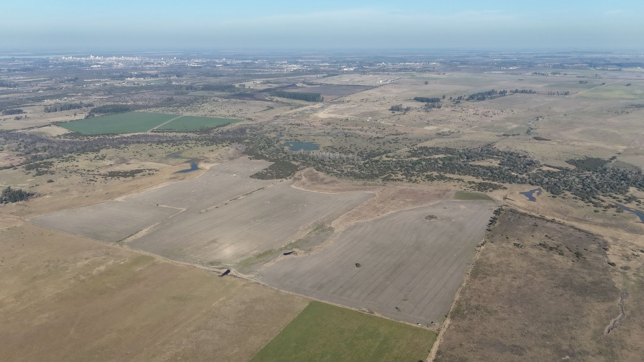 Campo de 19 hectareas 100 Agricolas - Concepcion del Uruguat - Entre Rios - 2