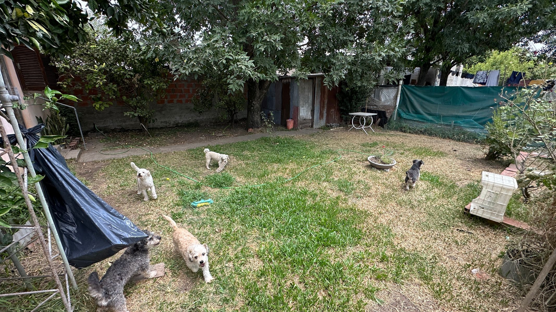 Casa de dos dormitorios - San Jose - Entre Rios — foto 9
