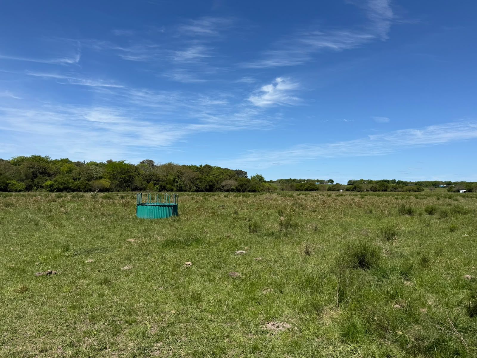 Campo de 10 Hectareas - San Jose - Entre Rios - 2
