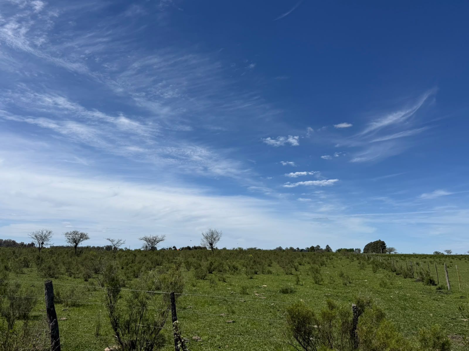 Campo de 10 Hectareas - San Jose - Entre Rios - 3