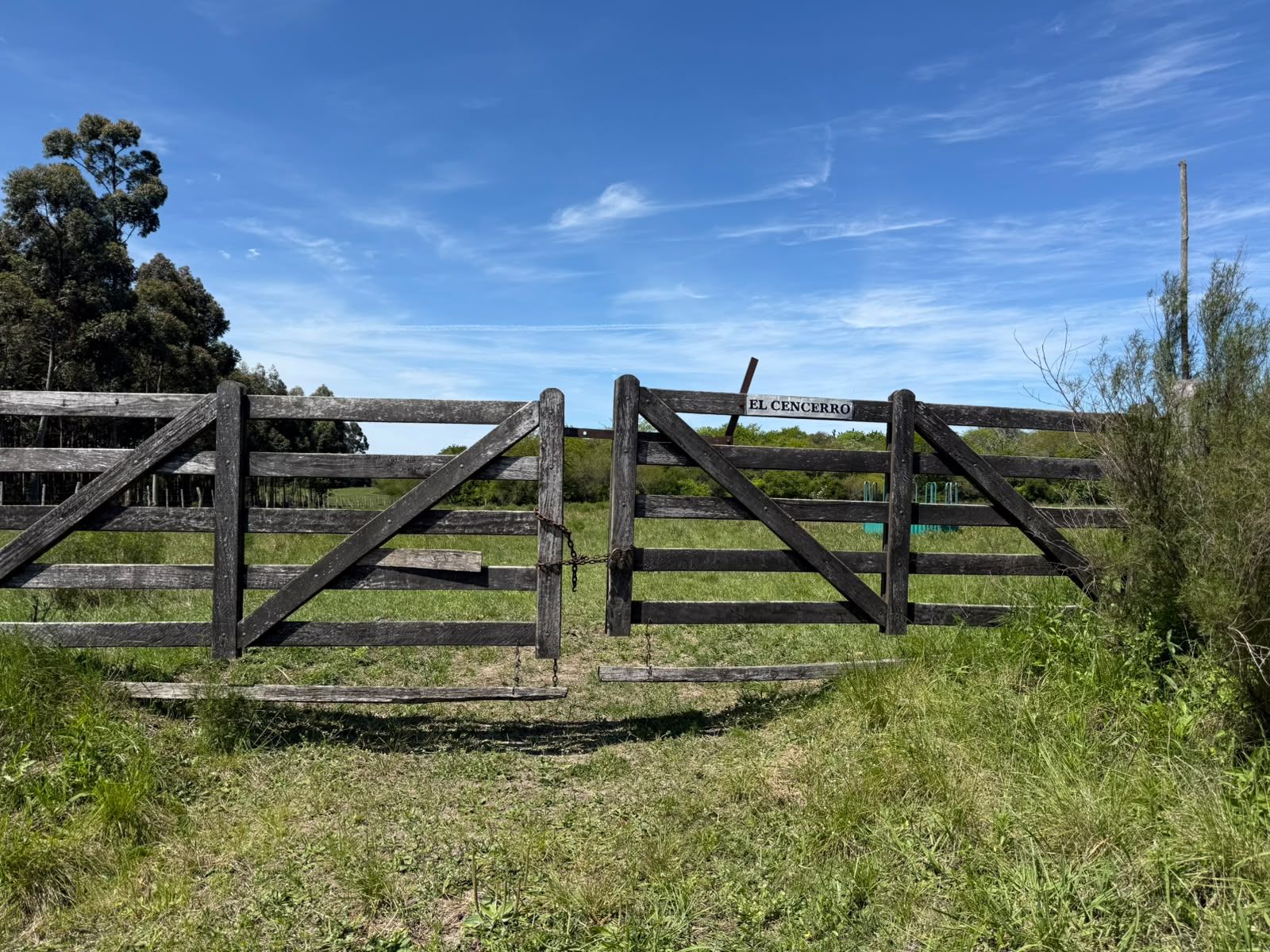 Campo de 10 Hectareas - San Jose - Entre Rios - 4