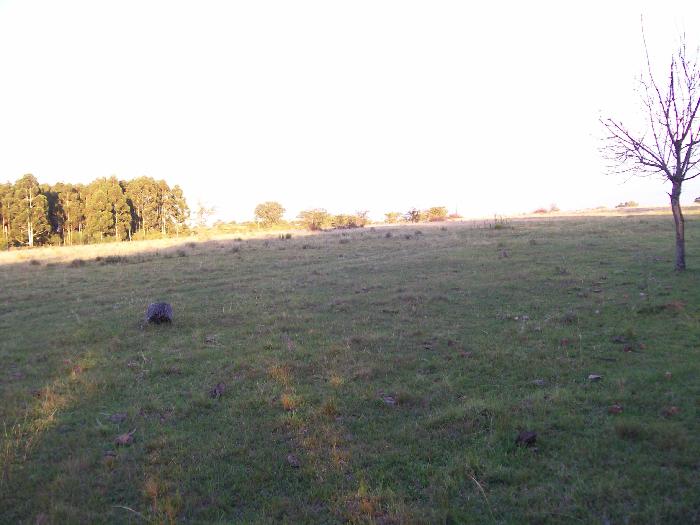Campo en Venta en Colón, Colón, Entre Ríos - 2