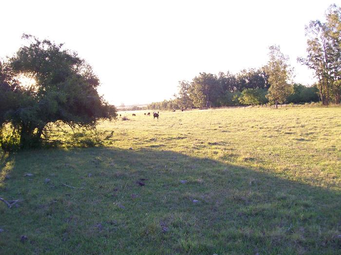 Campo en Venta en Colón, Colón, Entre Ríos - 5