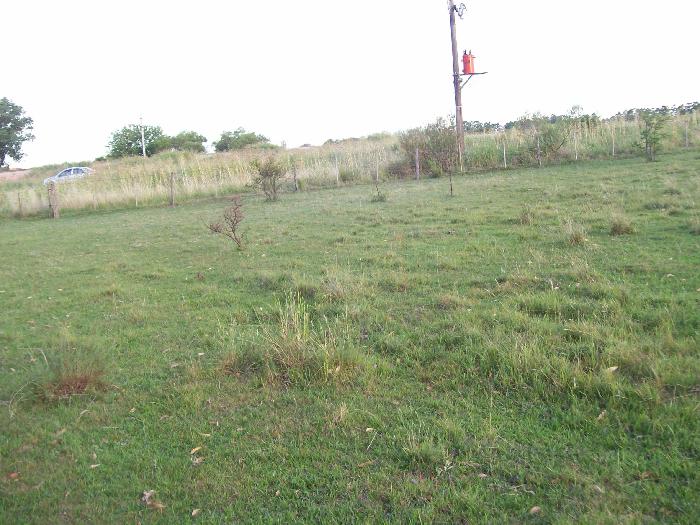 Campo en Venta en Colón, Colón, Entre Ríos - 6