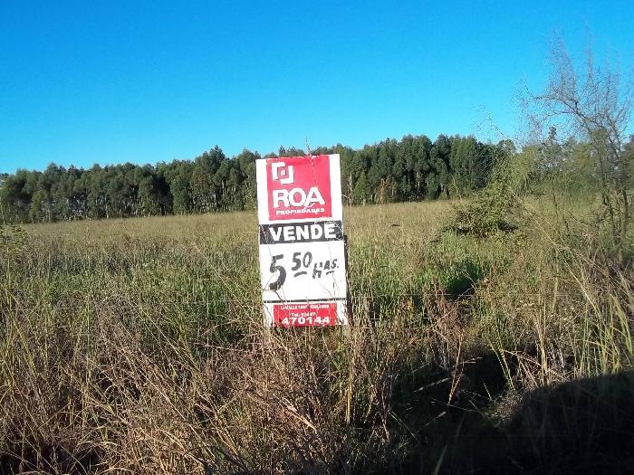 Campo en Venta en San José, Colón, Entre Ríos - 2
