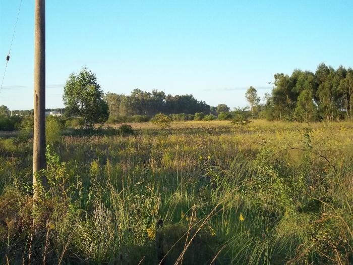 Campo en Venta en San José, Colón, Entre Ríos - 3