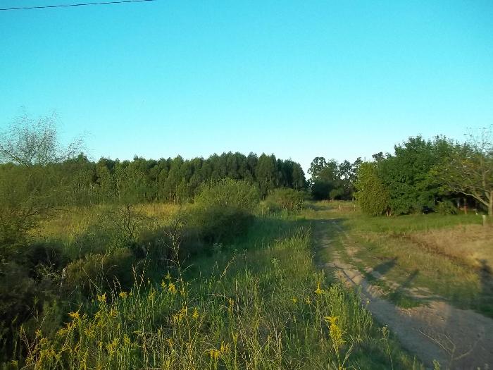 Campo en Venta en San José, Colón, Entre Ríos - 4