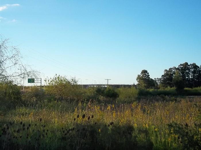 Campo en Venta en San José, Colón, Entre Ríos - 5