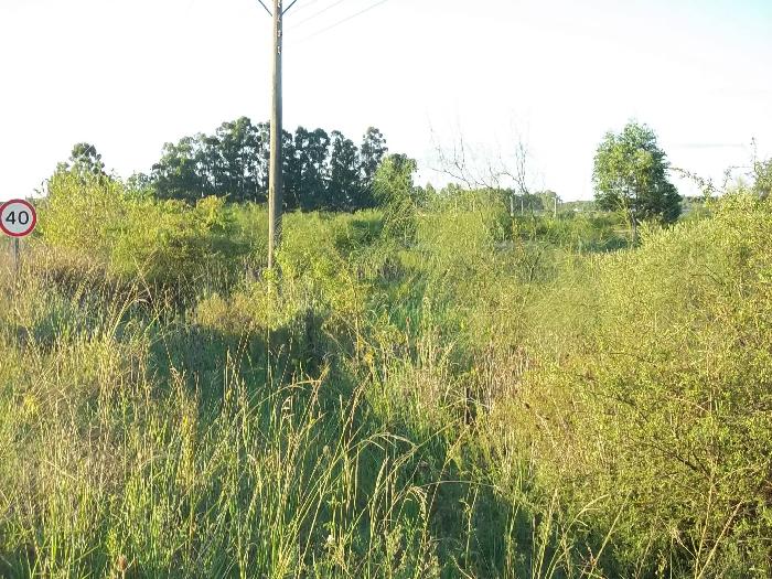 Campo en Venta en San José, Colón, Entre Ríos - 7