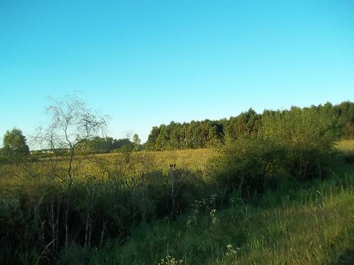 Campo en Venta en San José, Colón, Entre Ríos - 8