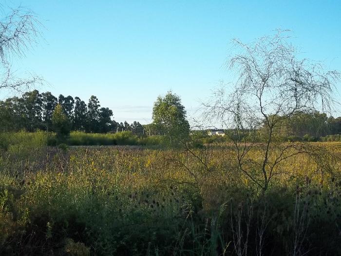 Campo en Venta en San José, Colón, Entre Ríos - 9