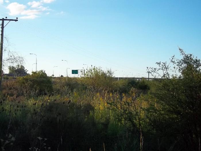 Campo en Venta en San José, Colón, Entre Ríos - 10