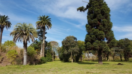 Lotes en barrio privado Saint Joseph - 5