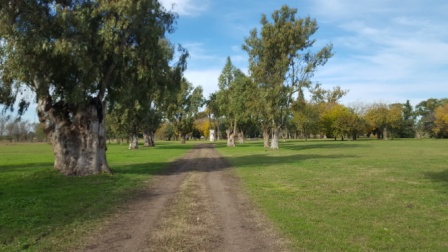 Lotes en barrio privado Saint Joseph - 10