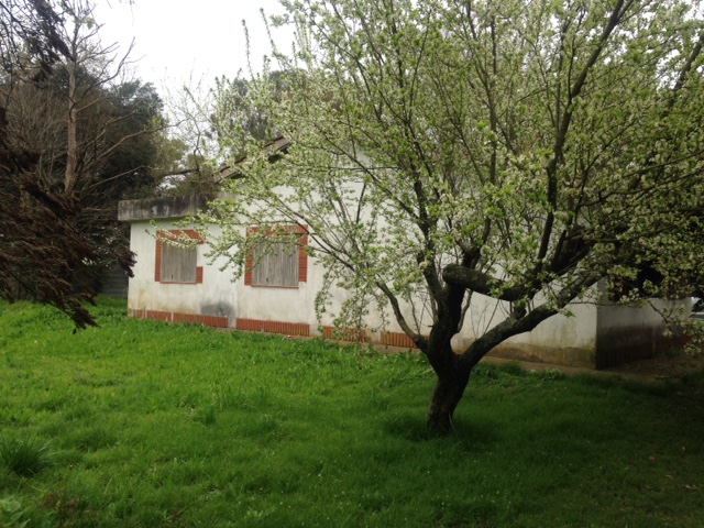 Gran chacra en Arturo Segui — foto 3