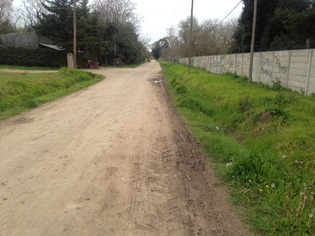 Gran chacra en Arturo Segui — foto 5