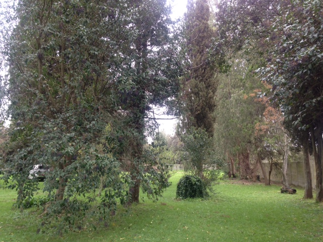 Gran chacra en Arturo Segui — foto 7