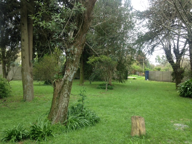 Gran chacra en Arturo Segui — foto 13