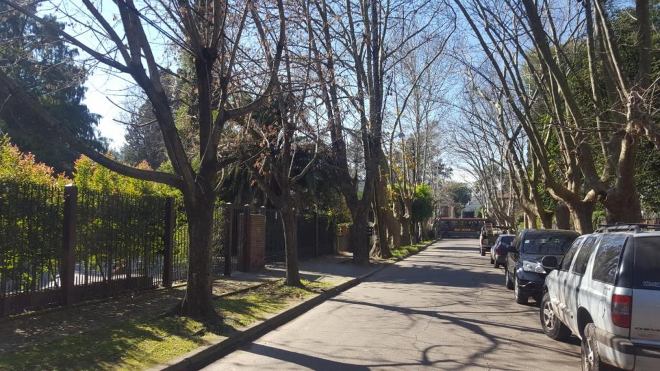 Impecable gran Chalet clásico en Adrogué — foto 14