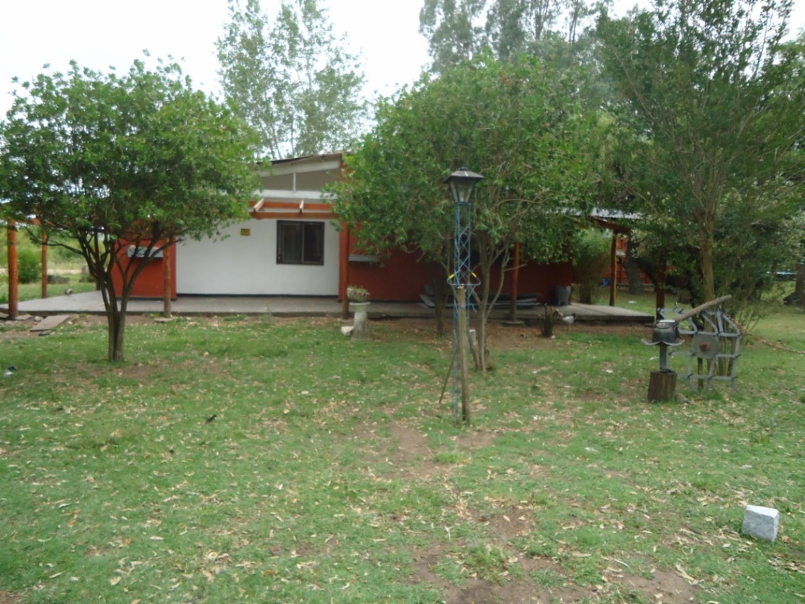 Chacra 4 HAs en Las Flores - 3