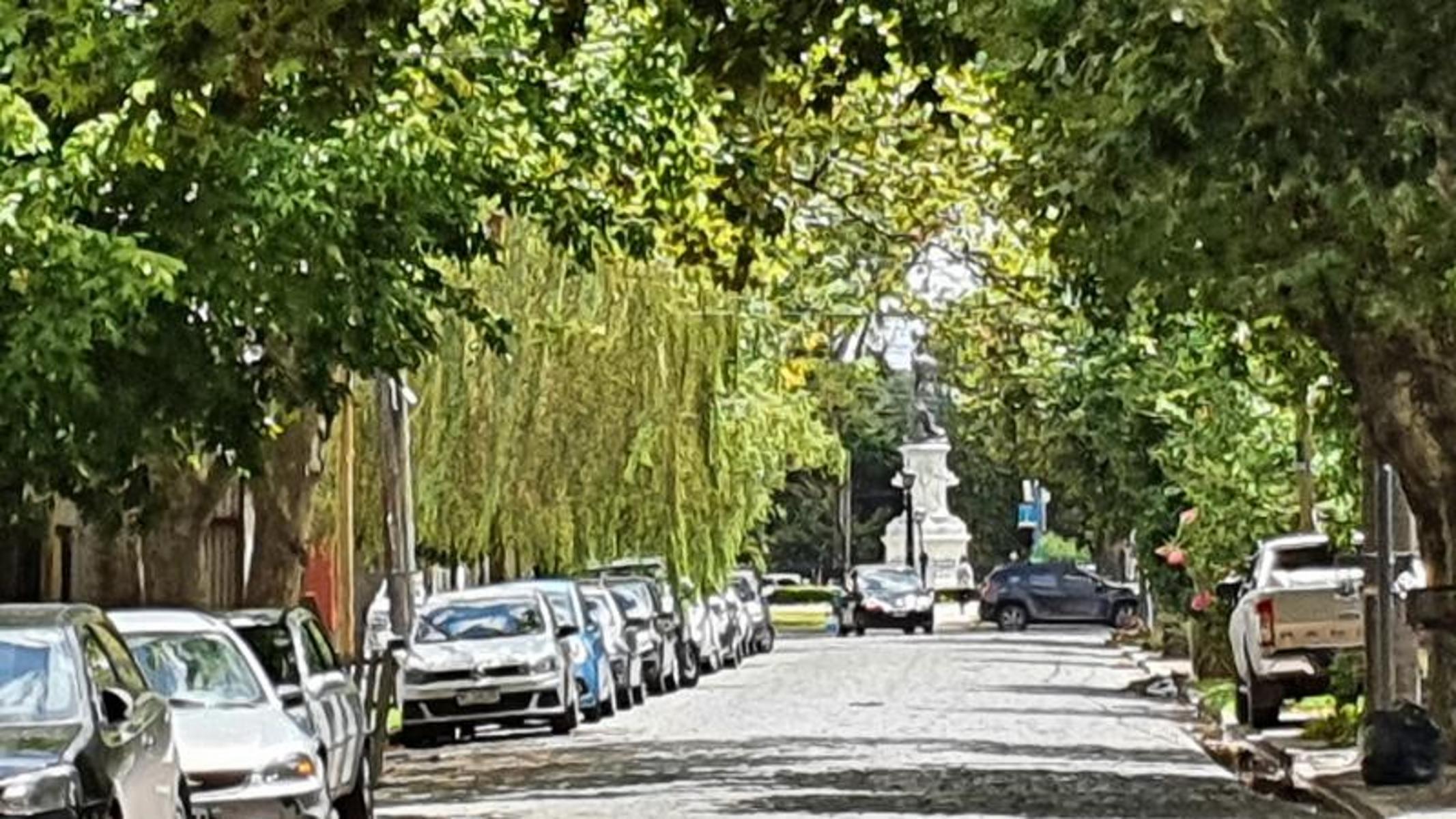 En venta Departamento de 3 ambientes a estrenar a metros de Plaza Brown de Adrogué — foto 3