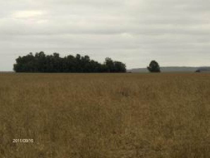 Campo en Azul 130 Has!! - 1