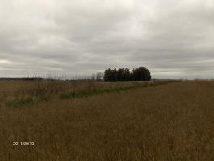 Campo en Azul 130 Has!! - 3